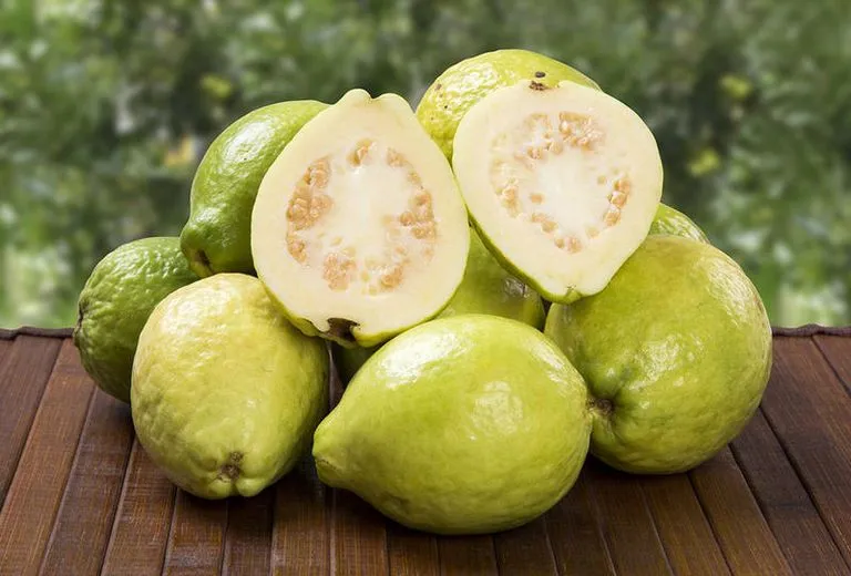 Guava